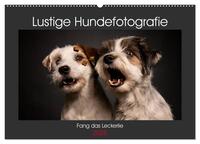 Fang das Leckerlie (Wandkalender 2025 DIN A2 quer), CALVENDO Monatskalender