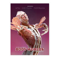 BODY WORLDS - The Original Exhibition (FI)