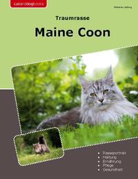 Traumrasse Maine Coon