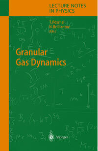 Granular Gas Dynamics