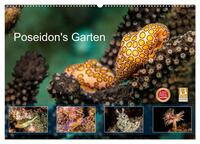 Poseidon's Garten (Wandkalender 2025 DIN A2 quer), CALVENDO Monatskalender