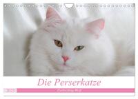 Die Perserkatze - Farbschlag Weiß (Wandkalender 2025 DIN A4 quer), CALVENDO Monatskalender