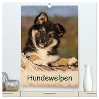 Hundewelpen (hochwertiger Premium Wandkalender 2025 DIN A2 hoch), Kunstdruck in Hochglanz