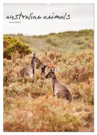 australian animals (Wandkalender 2025 DIN A2 hoch), CALVENDO Monatskalender