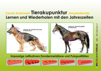 Tierakupunktur Lernkalender mit Dauerkalendarium (Pulsqualitäten, unpaarige Leitbahnen)