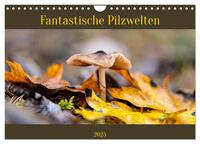 Fantastische Pilzwelten (Wandkalender 2025 DIN A4 quer), CALVENDO Monatskalender