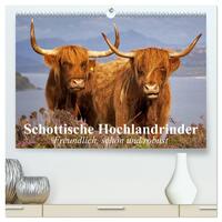 Schottische Hochlandrinder. Freundlich, schön und robust (hochwertiger Premium Wandkalender 2025 DIN A2 quer), Kunstdruck in Hochglanz