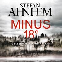 Minus 18 Grad (Ein Fabian-Risk-Krimi 3)