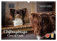 Chihuahuas - Cool and Cute (Wandkalender 2025 DIN A3 quer), CALVENDO Monatskalender