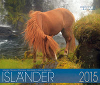 Island Pferde Kalender 2015