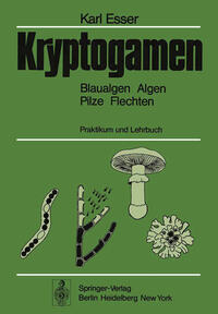 Kryptogamen