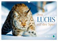 Dem Luchs auf der Spur (Wandkalender 2026 DIN A3 quer), CALVENDO Monatskalender