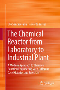 The Chemical Reactor from Laboratory to Industrial Plant