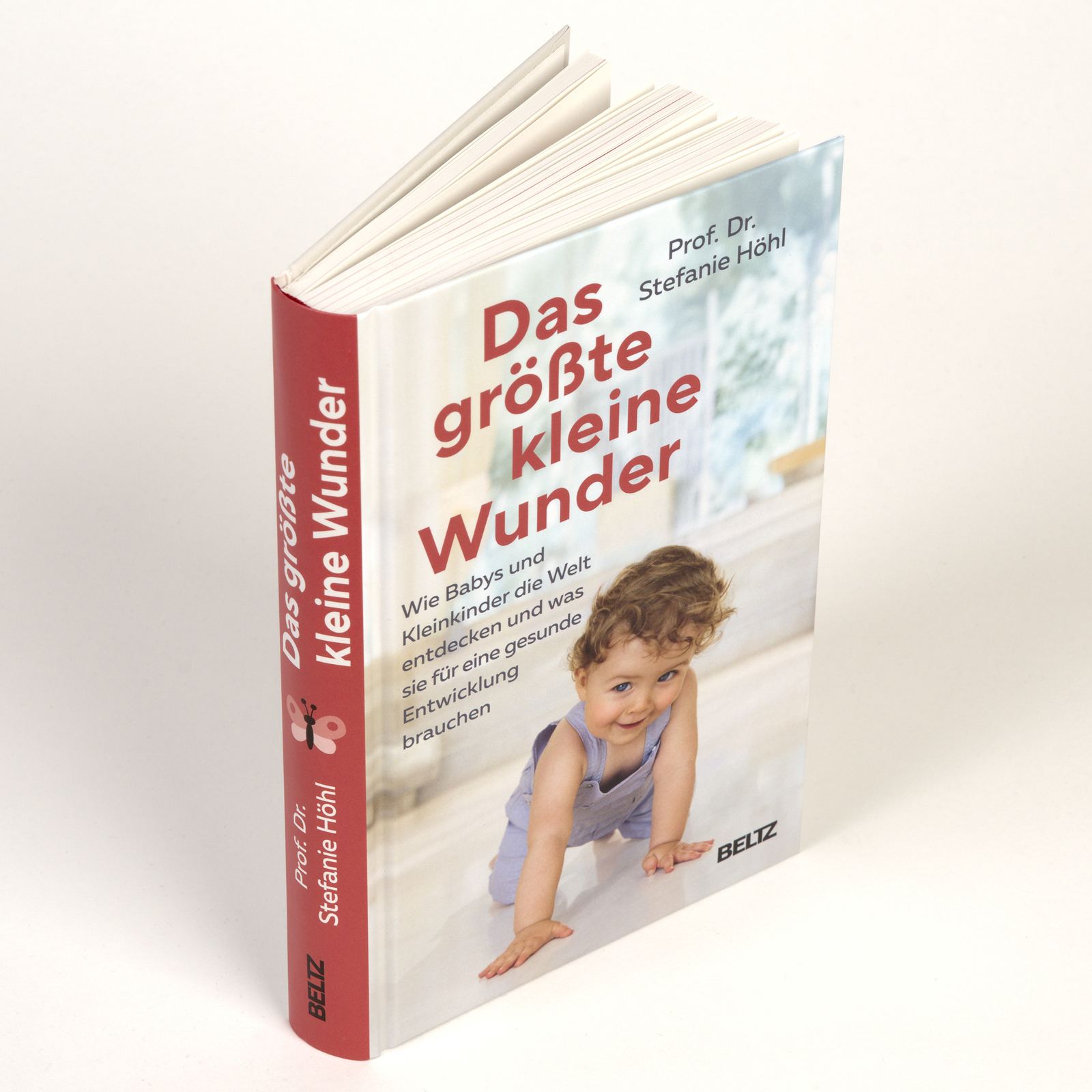 Das größte kleine Wunder