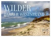 Wilder Darßer Weststrand (Wandkalender 2026 DIN A4 quer), CALVENDO Monatskalender