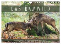 Emotionale Momente: Das Damwild. (Wandkalender 2025 DIN A4 quer), CALVENDO Monatskalender