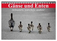 Gänse und Enten. Schnattern, watscheln, quaken! (Tischkalender 2025 DIN A5 quer), CALVENDO Monatskalender