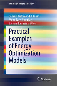 Practical Examples of Energy Optimization Models