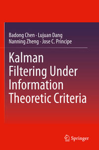 Kalman Filtering Under Information Theoretic Criteria