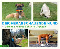 Der herabschauende Hund