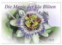 Die Magie der lila Blüten (Wandkalender 2025 DIN A4 quer), CALVENDO Monatskalender