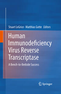 Human Immunodeficiency Virus Reverse Transcriptase