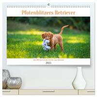 Pfotenblitzers Retriever Mit DIR hol ich die Sterne vom Himmel (hochwertiger Premium Wandkalender 2025 DIN A2 quer), Kunstdruck in Hochglanz