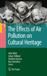 The Effects of Air Pollution on Cultural Heritage