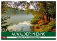 Auwälder bei Enns (Wandkalender 2025 DIN A3 quer), CALVENDO Monatskalender