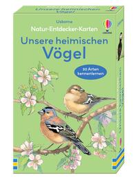 Natur-Entdecker-Karten: Unsere heimischen Vögel