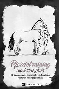 Pferdetraining rund ums Jahr