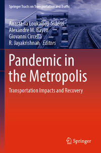 Pandemic in the Metropolis