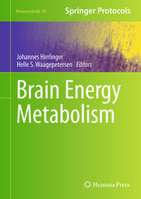 Brain Energy Metabolism