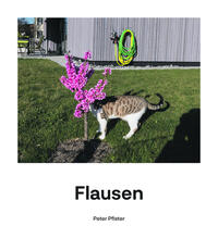 Flausen