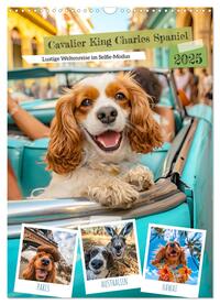 Cavalier King Charles Spaniel - Lustige Weltenreise im Selfie-Modus (Wandkalender 2025 DIN A3 hoch), CALVENDO Monatskalender