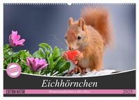 Eichhörnchen Momentaufnahmen fürs Herz (Wandkalender 2025 DIN A2 quer), CALVENDO Monatskalender