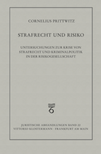 Strafrecht und Risiko