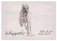 Whippet 2025 (Wandkalender 2025 DIN A2 quer), CALVENDO Monatskalender