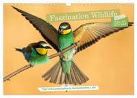 Faszination Wildlife (Wandkalender 2025 DIN A3 quer), CALVENDO Monatskalender