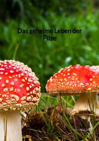 Das geheime Leben der Pilze