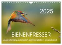 Bienenfresser, unsere farbenprächtigsten Sommergäste in Deutschland (Wandkalender 2025 DIN A4 quer), CALVENDO Monatskalender