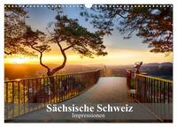 Sächsische Schweiz – Impressionen (Wandkalender 2025 DIN A3 quer), CALVENDO Monatskalender