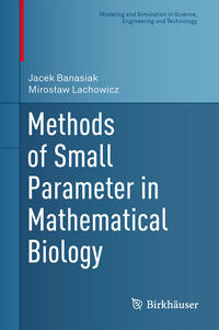 Methods of Small Parameter in Mathematical Biology