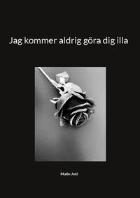 Jag kommer aldrig göra dig illa