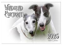 Windhund Portrait 2025 White Edition (Wandkalender 2025 DIN A3 quer), CALVENDO Monatskalender