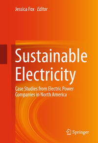 Sustainable Electricity