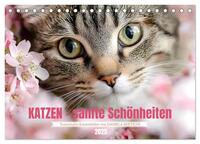 Katzen - sanfte Schönheiten (Tischkalender 2025 DIN A5 quer), CALVENDO Monatskalender