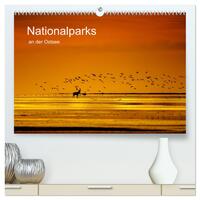 Nationalparks an der Ostsee (hochwertiger Premium Wandkalender 2025 DIN A2 quer), Kunstdruck in Hochglanz