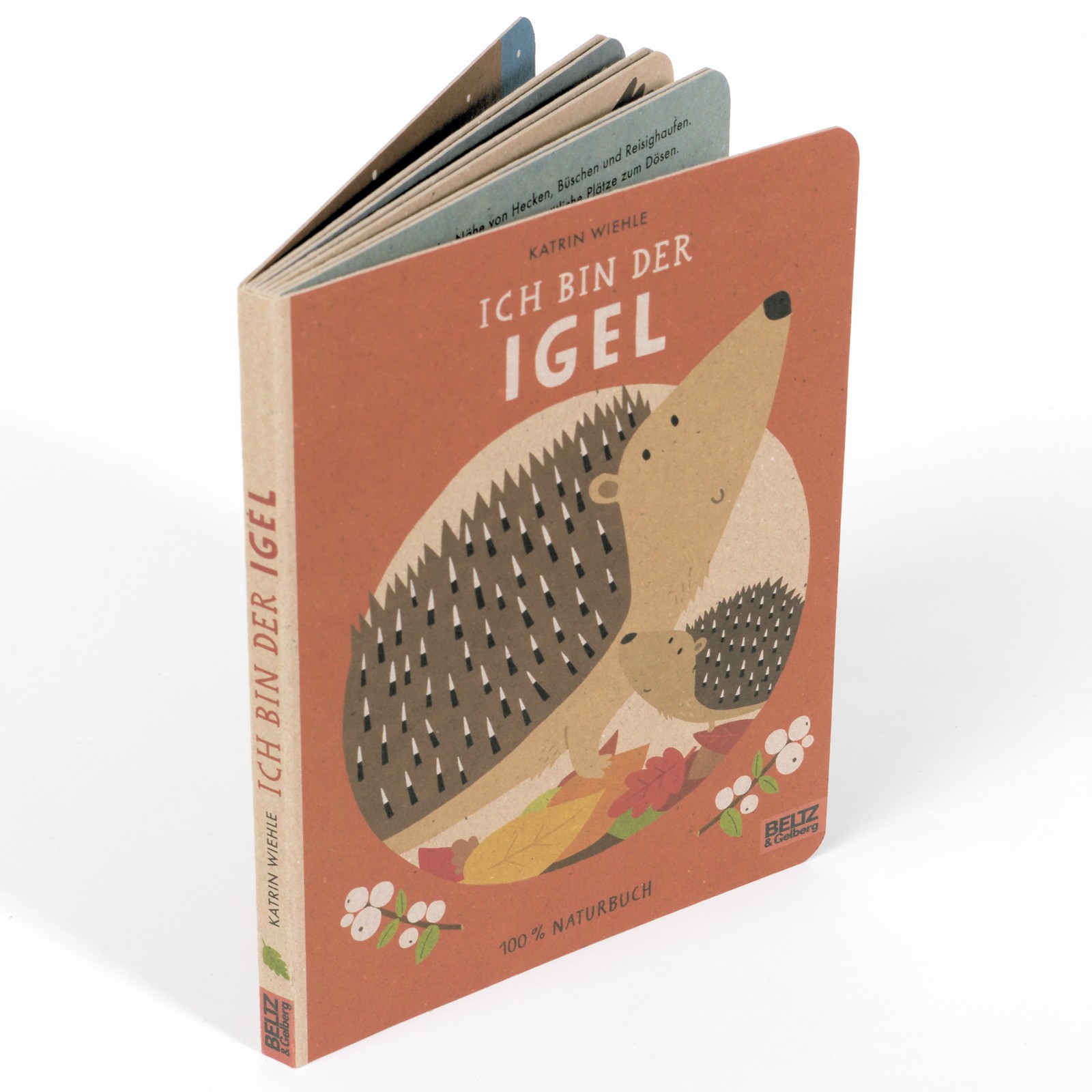 Ich bin der Igel