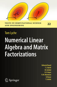 Numerical Linear Algebra and Matrix Factorizations